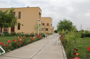 اطلاعیه دانشجویان بین الملل